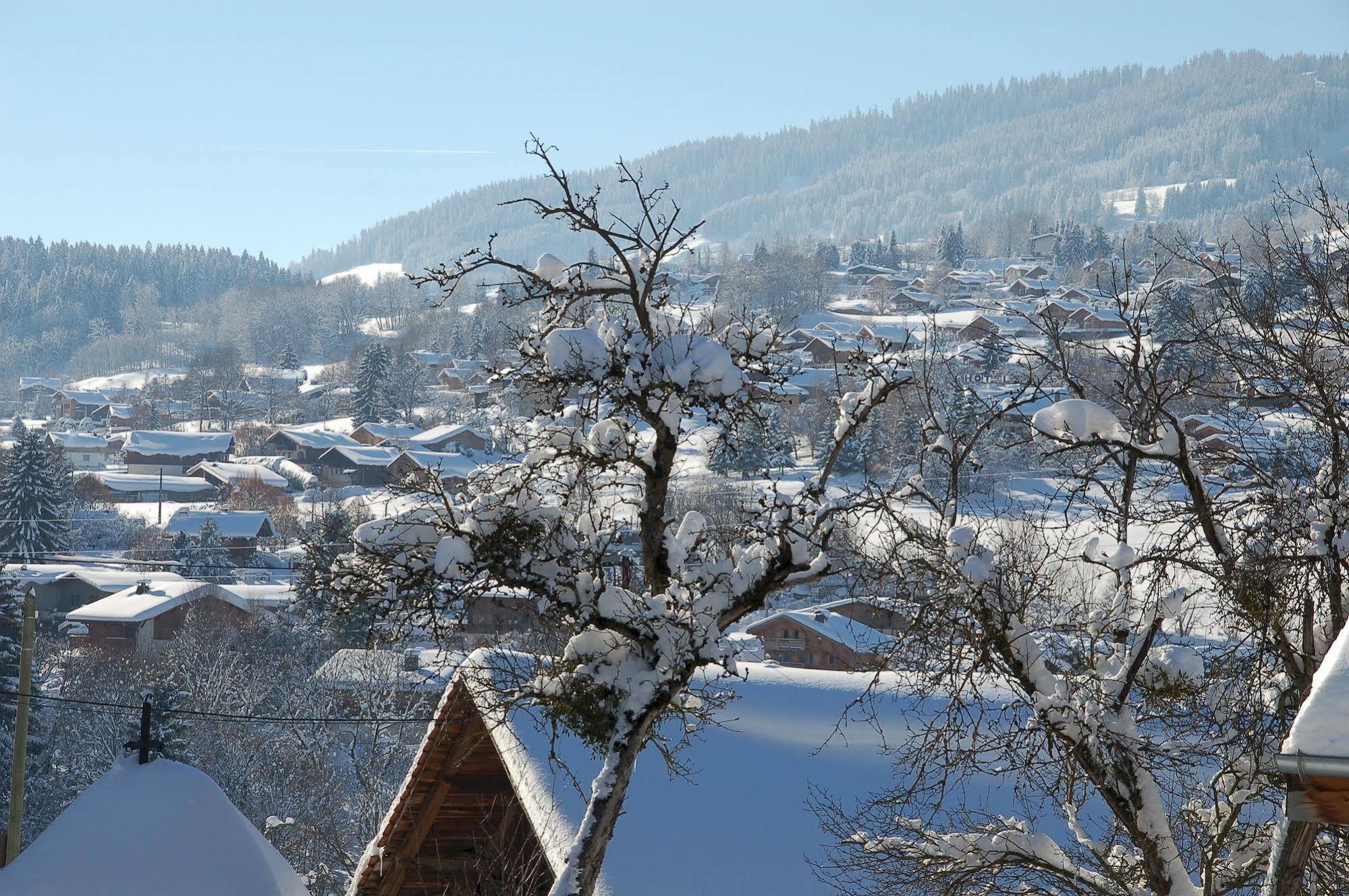 Logis Hotel Le Caprice Des Neiges Combloux Exterior photo